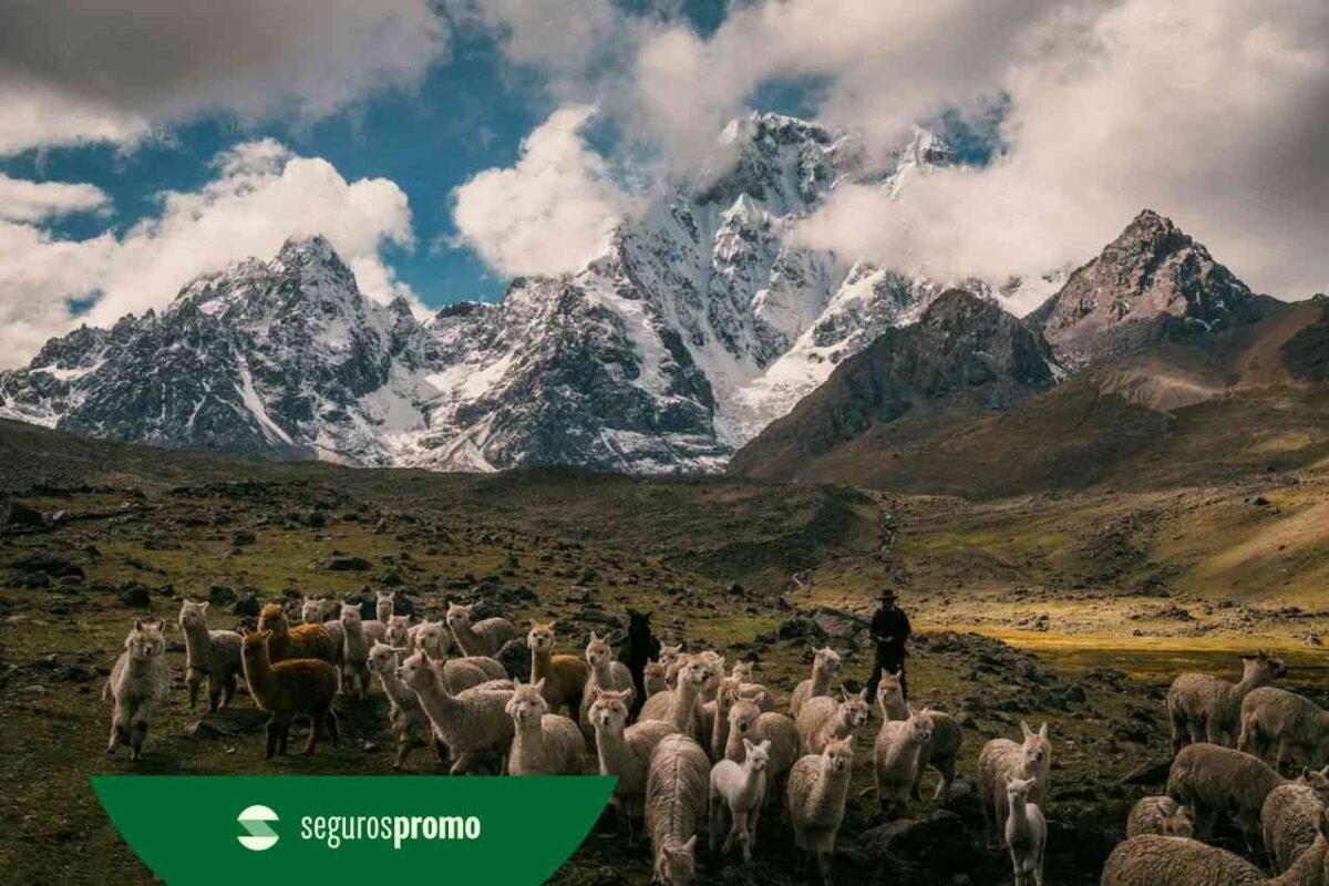 O que fazer no Peru (2026): roteiro, dicas e atrações!