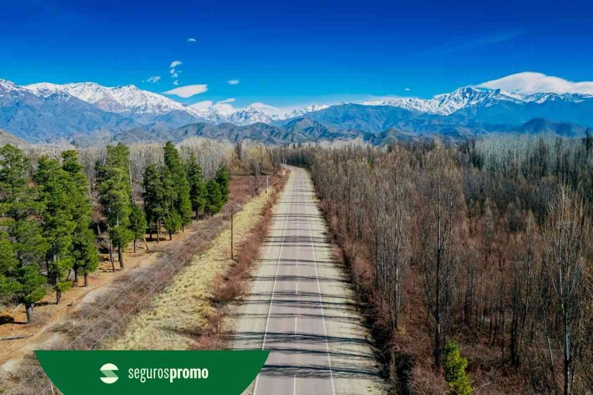 O que fazer em Mendoza: melhores passeios e dicas de viagem!