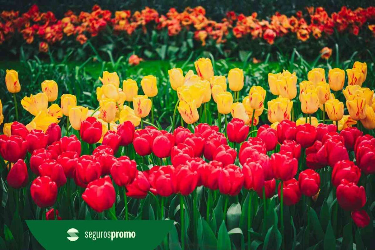 Primavera na Europa: melhores destinos, quando ir e preços!
