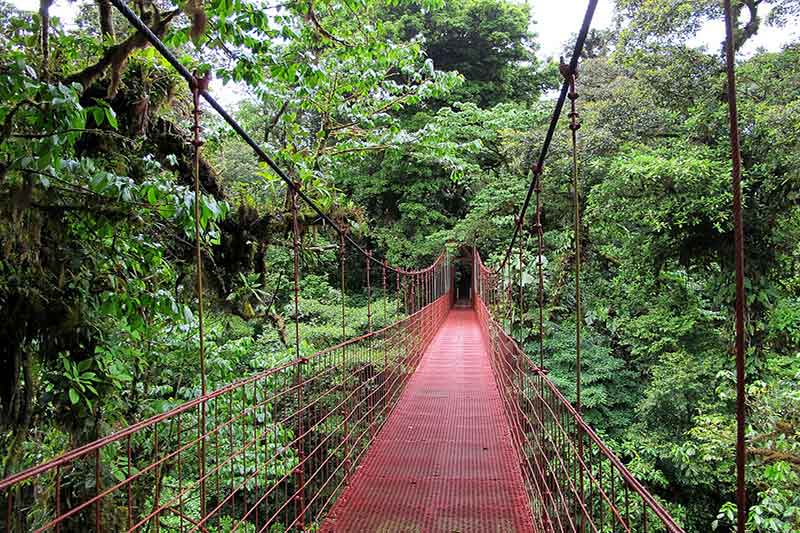 Reserva Florestal Monteverde