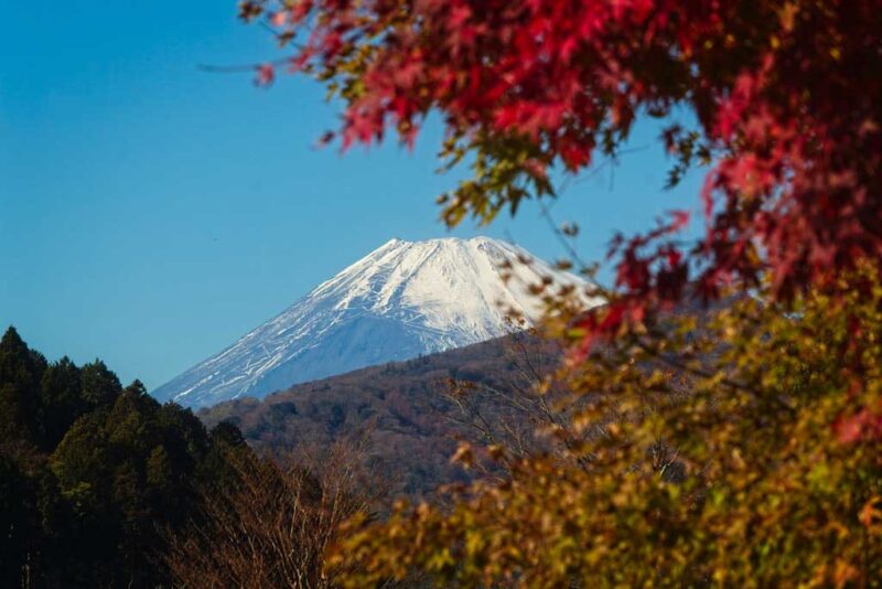 Viagem para o Japão: como planejar, dicas, mapa e cidades turísticas