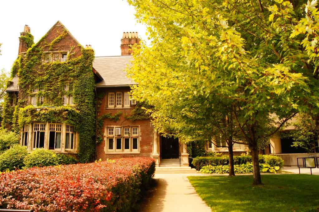 Foto de uma árvore verde em frente a uma casa marrom