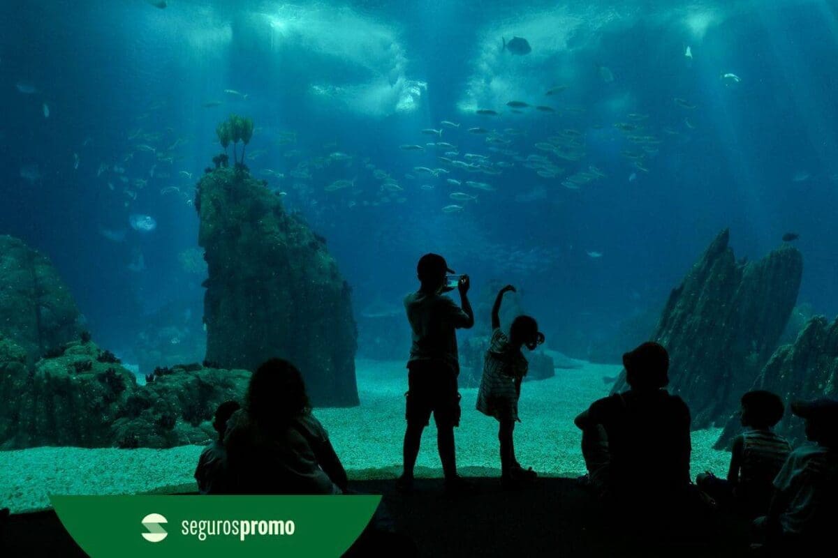 Oceanário de Lisboa: tudo que você precisa saber!