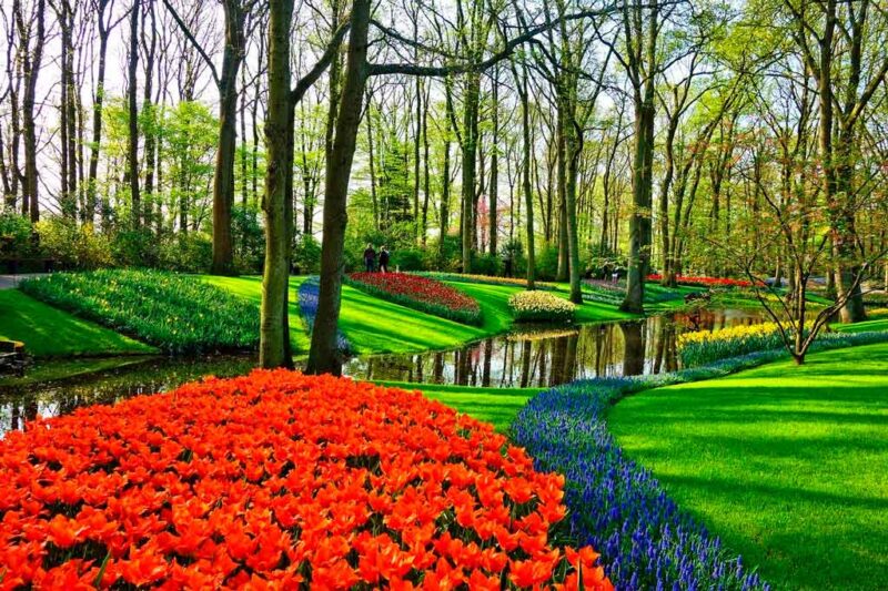 Parque Keukenhof: quando ir, o que fazer e dicas de passeios