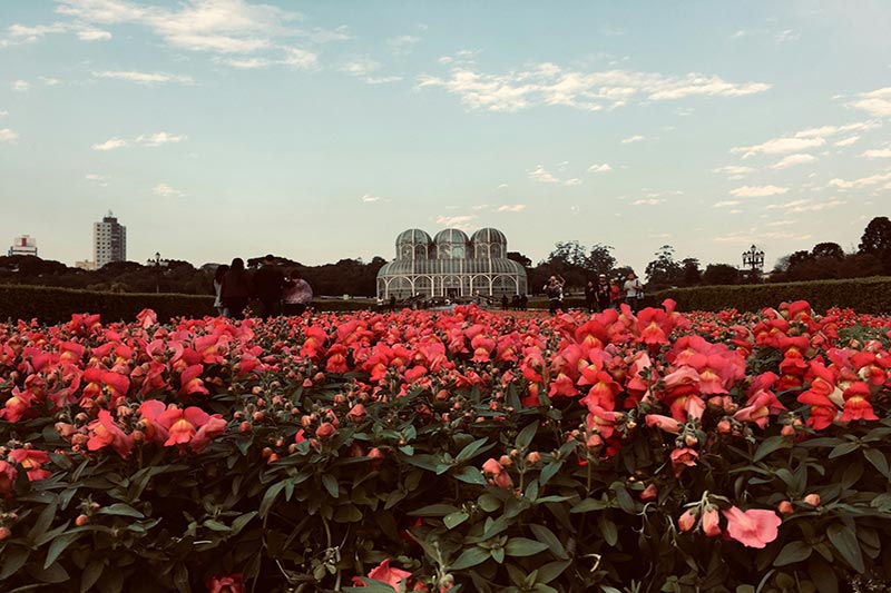 Jardim de Curitiba