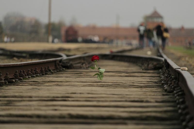 Birkenau