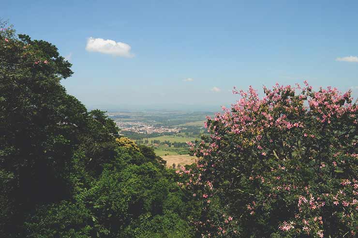 Brotas, SP: pontos turísticos, o que fazer, mapa e dicas de viagem