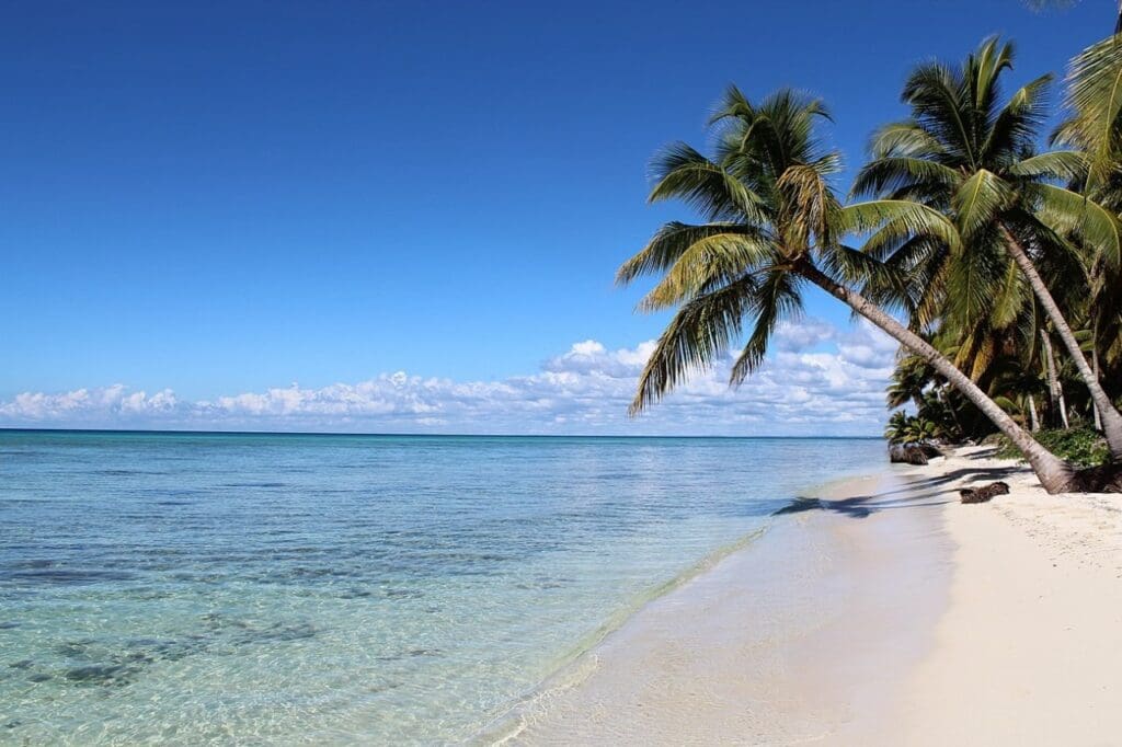 Ilha Saona tudo sobre este paraíso caribenho!