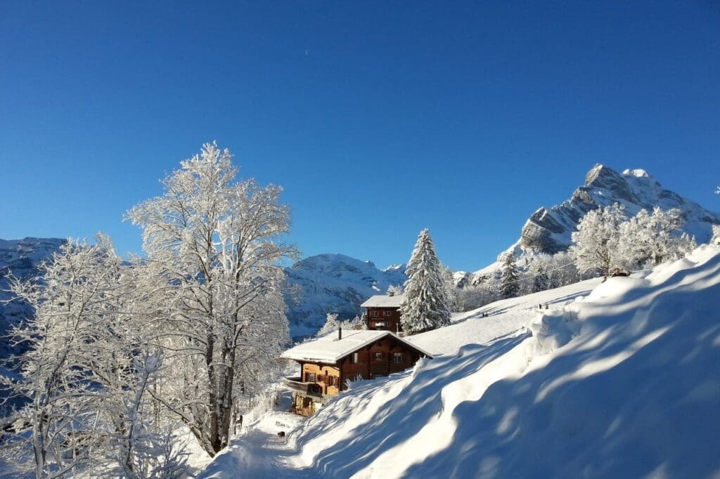 Cotação de seguro para conhecer os Alpes Suíços