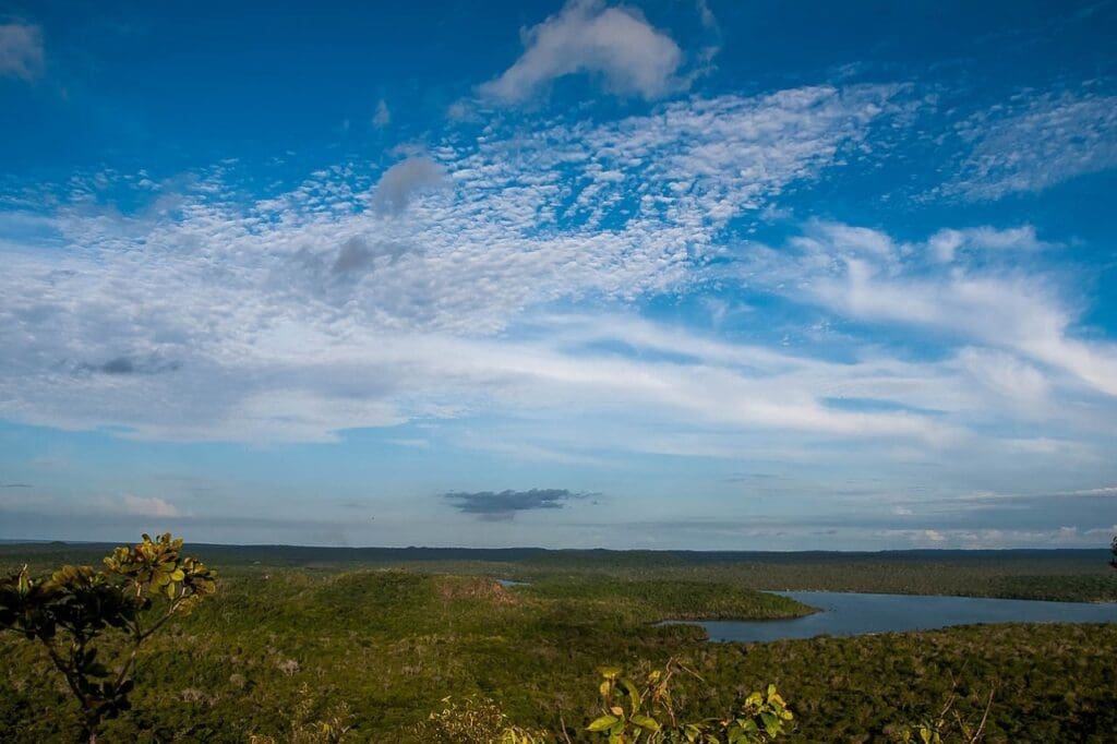 Floresta Nacional do Tapajós