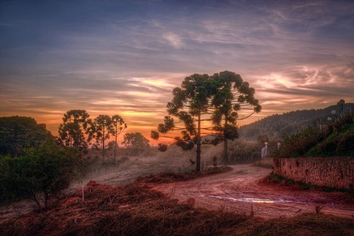 O que fazer em Monte Verde: dicas, roteiro, mapa e o que fazer