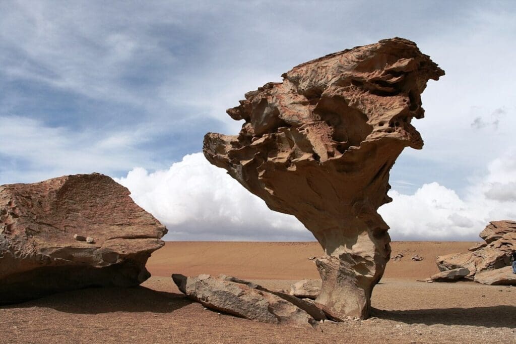 Árbol de Piedra