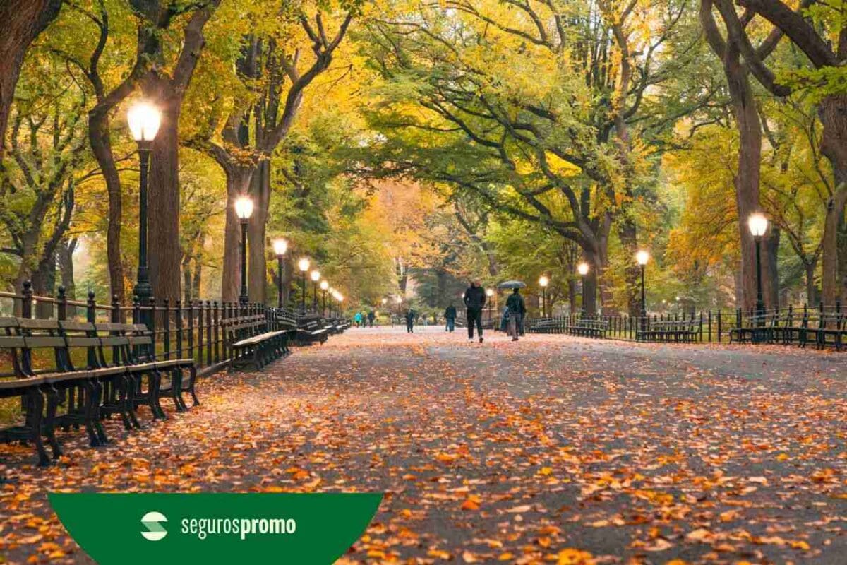 Melhor época para viajar para Nova York: confira quando ir a cidade!