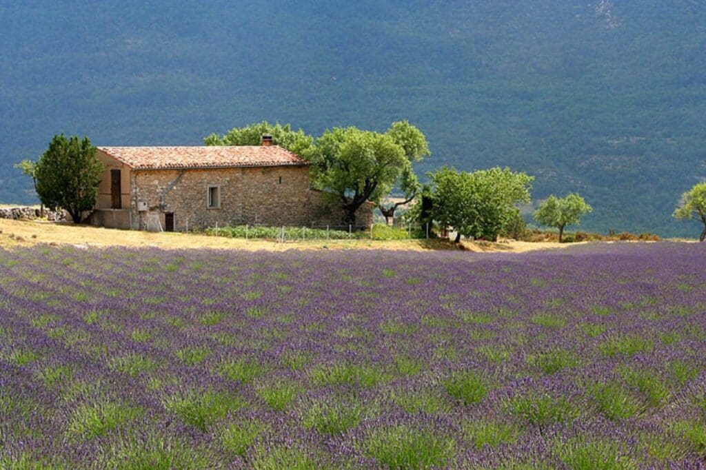 Provence, França dicas para a sua viagem ao sul do país!