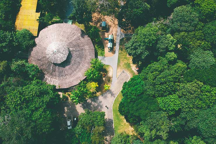 Turismo Amazônia: descubra as maravilhas naturais dessa incrível região!