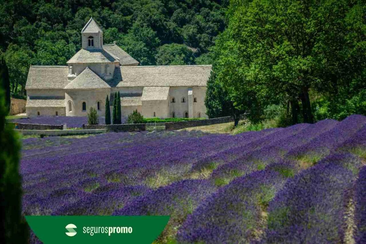 Provence, França: conheça os destinos mais incríveis da região!
