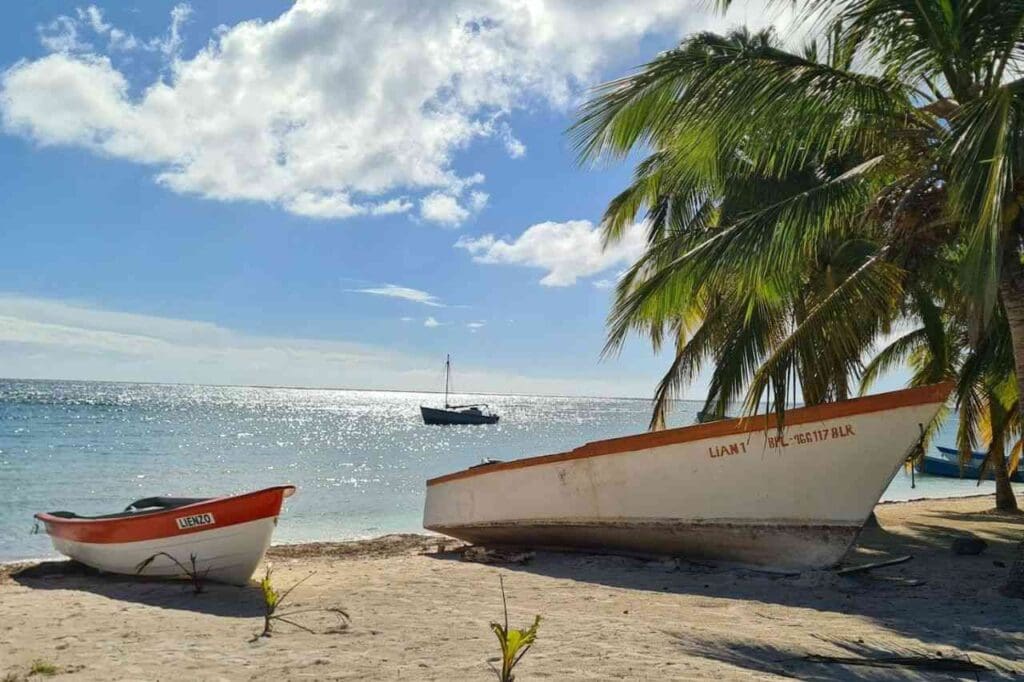 Foto de dois barcos ancorados em uma praia com vários coqueiros