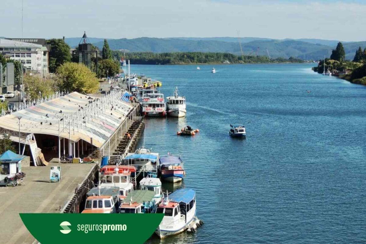 O que fazer em Valdivia, Chile: conheça tudo de bom dessa região!