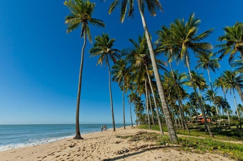 Prado, Bahia: conheça as principais atrações da região!