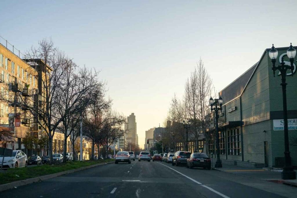 Foto de uma rua com carros e ávores sem folhas