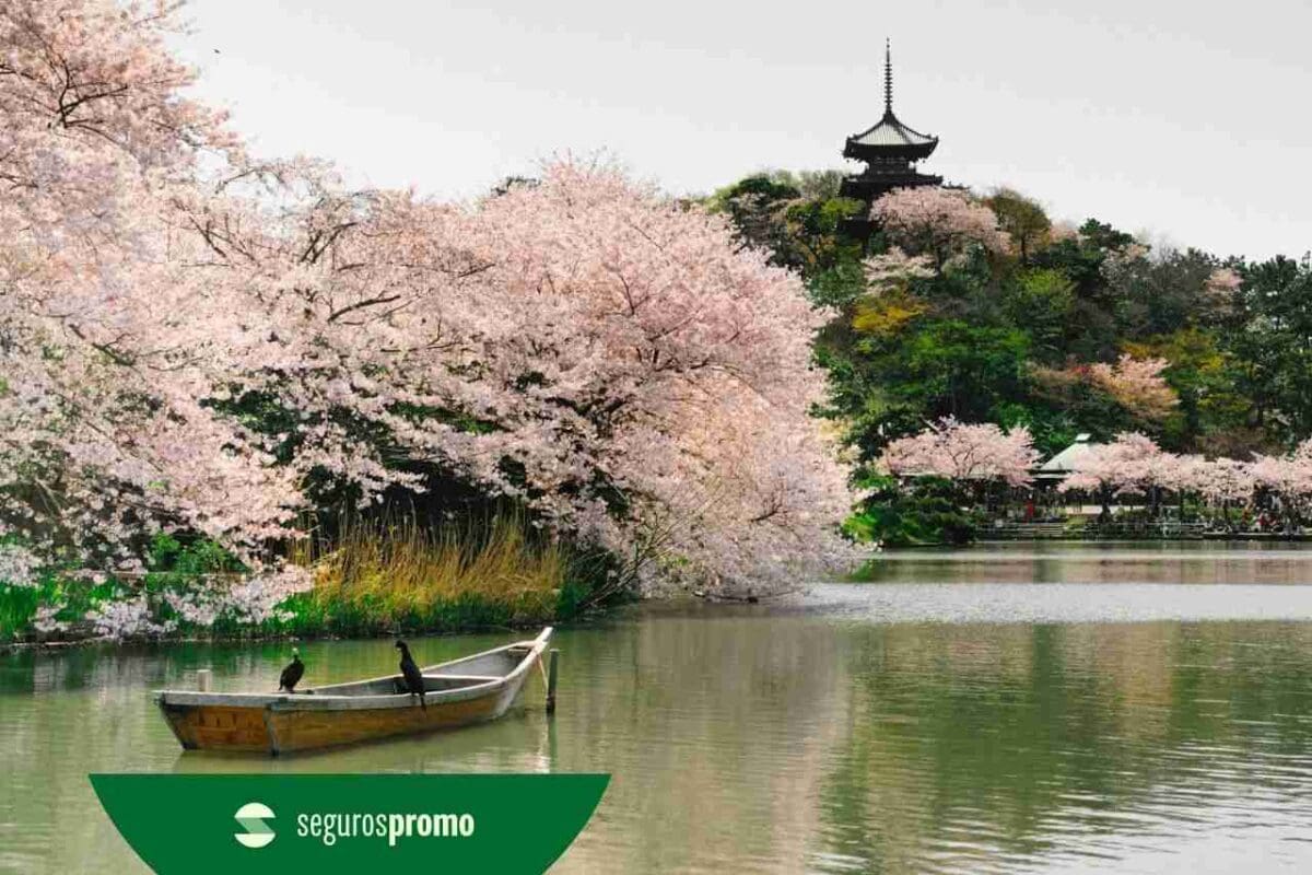 O que fazer em Yokohama: conheças as melhores atrações!