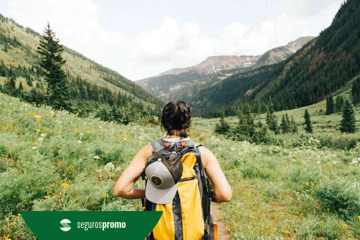Como contratar seguro viagem no Seguros Promo: passo a passo completo!