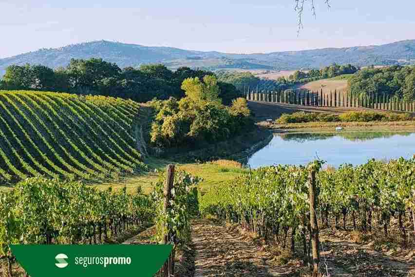 Regiões da Itália: conheça as melhores para visitar em 2025!