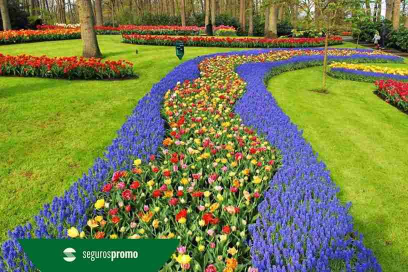 Keukenhof: tudo sobre o campo de tulipas na Holanda!