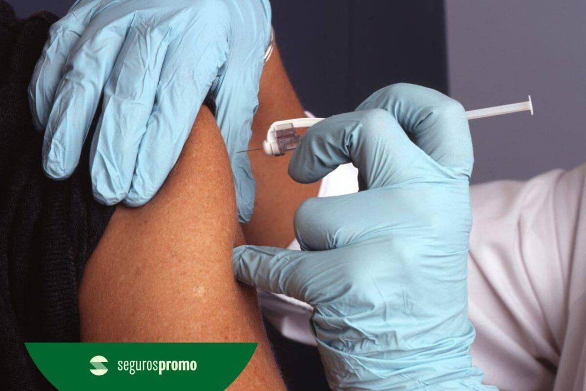 Certificado internacional de febre amarela: saiba tudo sobre o documento