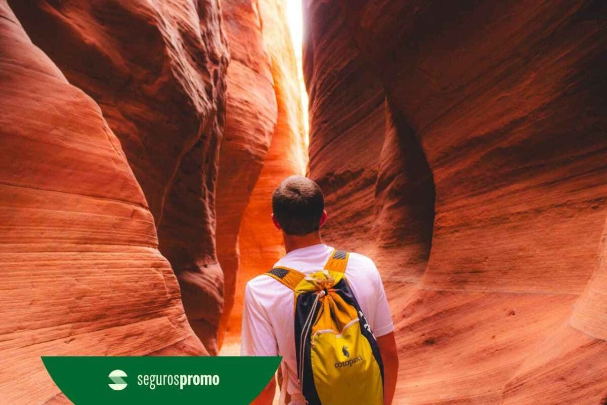 Qual o melhor seguro viagem para 2026: veja todos os planos!