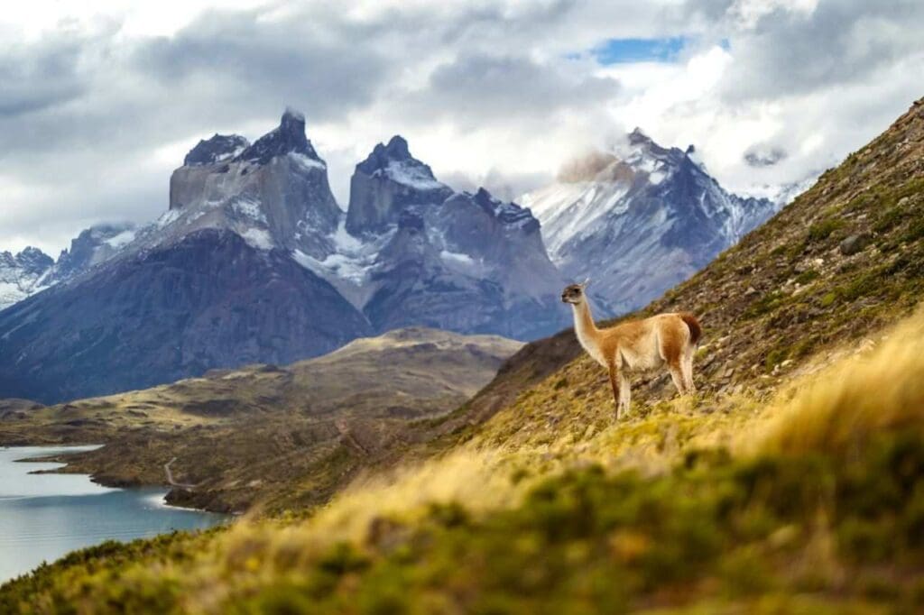 Foto de montanha em Torres del Paine