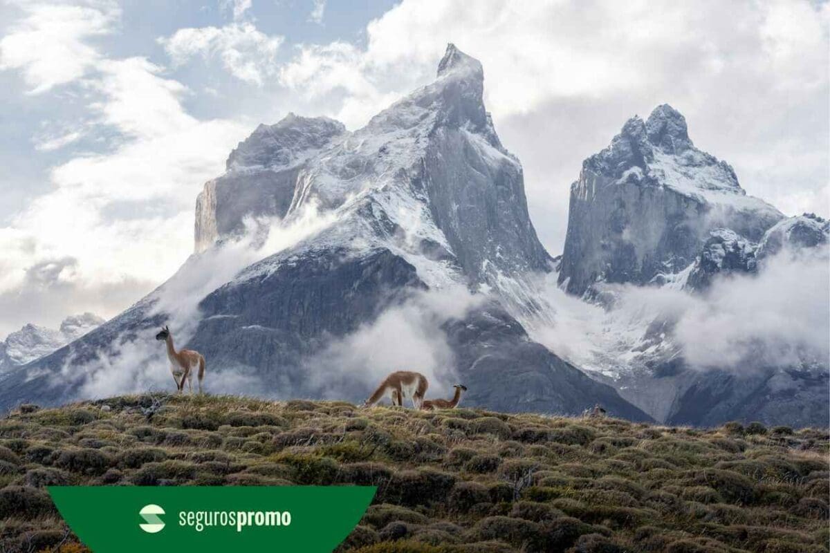 Torres del Paine: guia completo sobre o destino chileno!