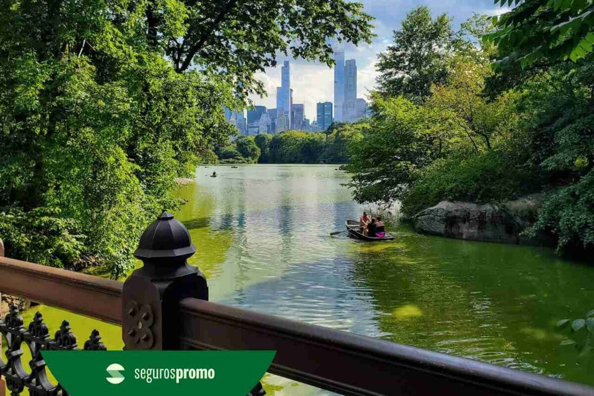 Melhor época para viajar para Nova York: confira quando ir a cidade!