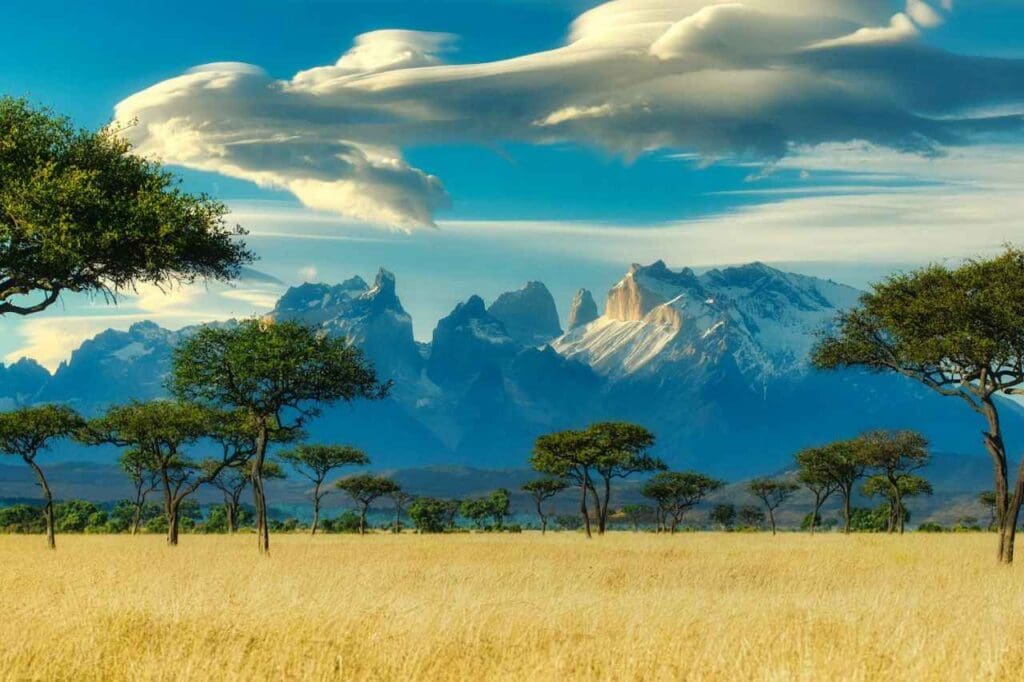 Foto de campo com árvores e montanhas ao fundo