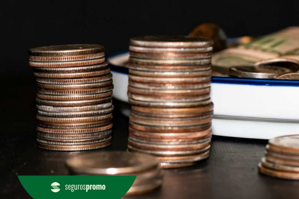 Moeda da Dinamarca: tudo sobre a coroa dinamarquesa!