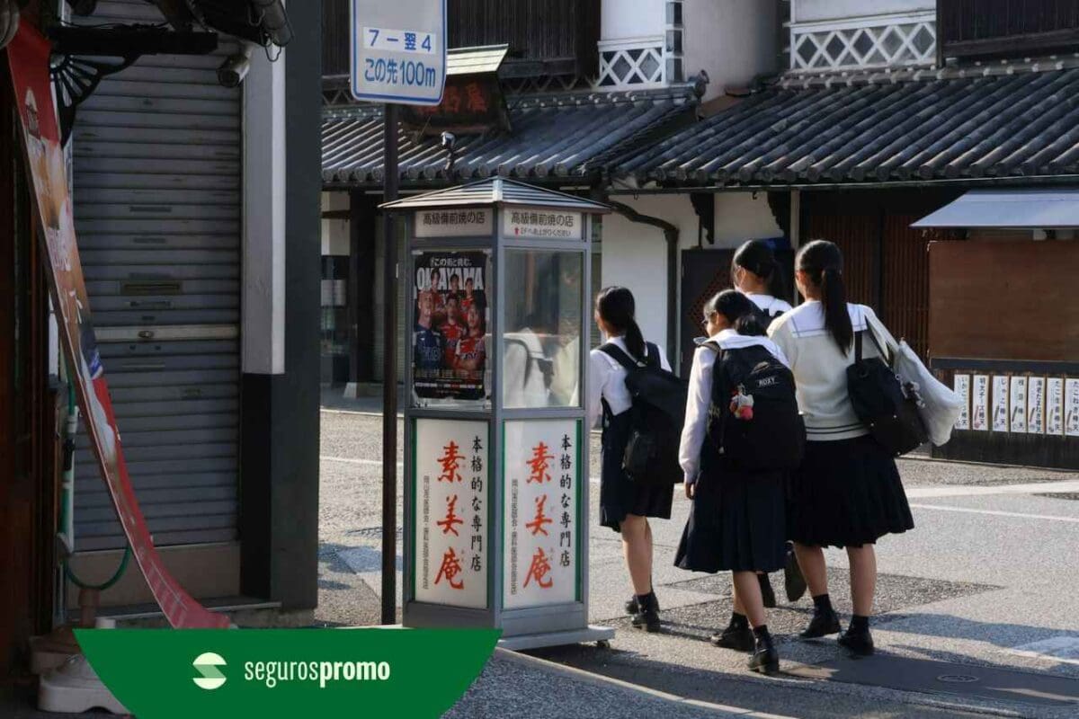 Intercâmbio no Japão: guia completo para estudar no país