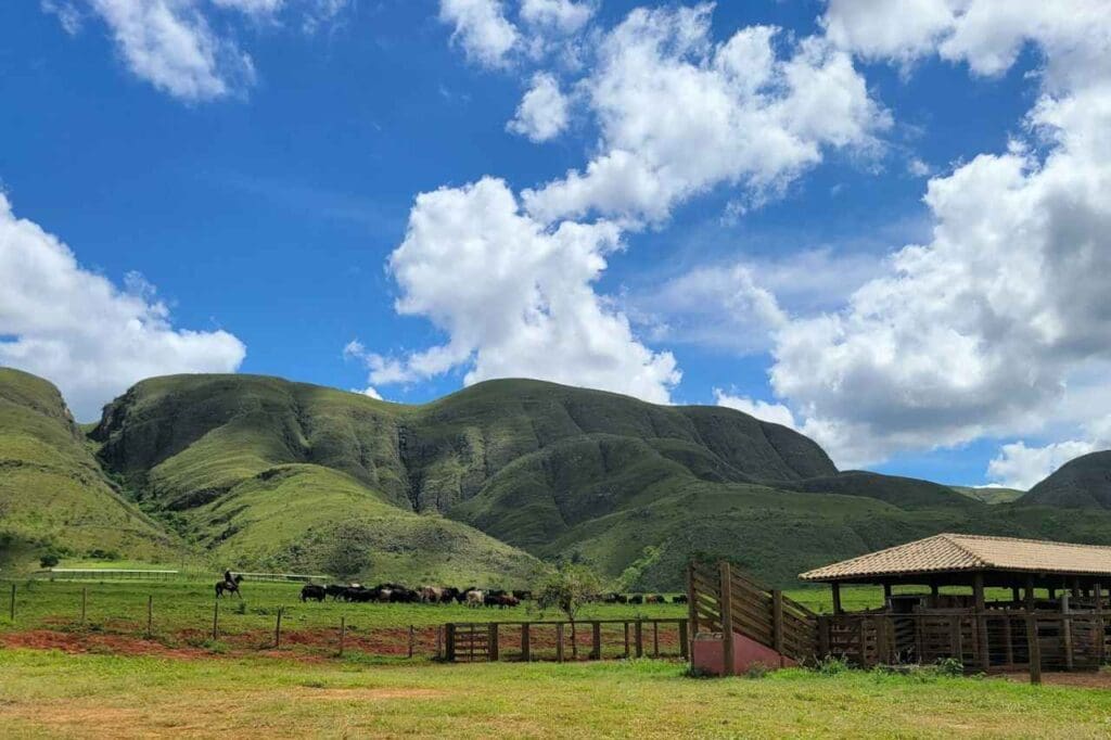 Foto de um curral com vacas e montanhas ao fundo