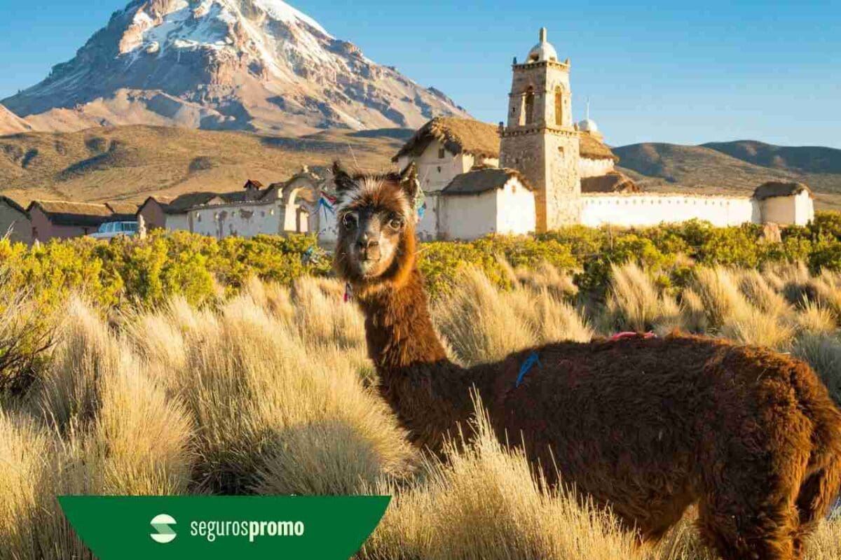 Seguro viagem Bolívia: veja se é obrigatório e como escolher